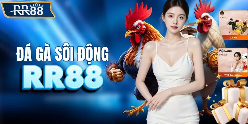 Bùng nổ cùng các trường gà quốc tế trên sân RR88